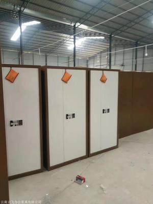 昆明文件柜 保密柜 保險柜工廠直營 云南云飛辦公家具