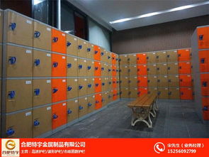 abs浴室更衣柜 六安abs浴室更衣柜 廠家直銷 多圖