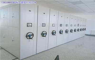 延安69242 移動密集鐵柜雙柱 實業(yè)集團 上市