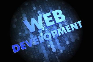 數(shù)字時(shí)代的黃金賽道 為何計(jì)算機(jī)軟件開(kāi)發(fā)仍是“最有前途”的專(zhuān)業(yè)之選？