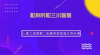 兩家儀器儀表企業(yè)榮獲工信部服務(wù)型制造示范稱號，引領(lǐng)信息系統(tǒng)集成服務(wù)新篇章